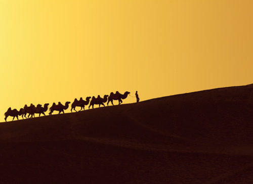 Webinar and Online Strategic Meeting on Silk Roads ICH Network to be Held 18 and 19 November 사진