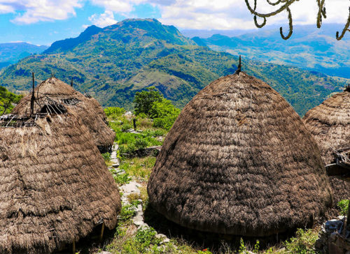 The Role of Traditional Houses in Timor-Leste: Safeguarding ICH Elements 사진