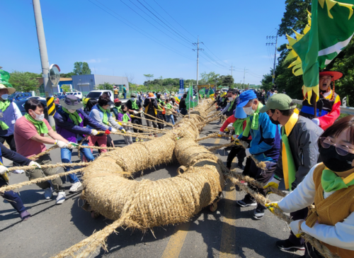 Held 2022 Gijisi Juldarigi (Tug-of-War) Festival from 13 to 15 May in Dangjin 사진