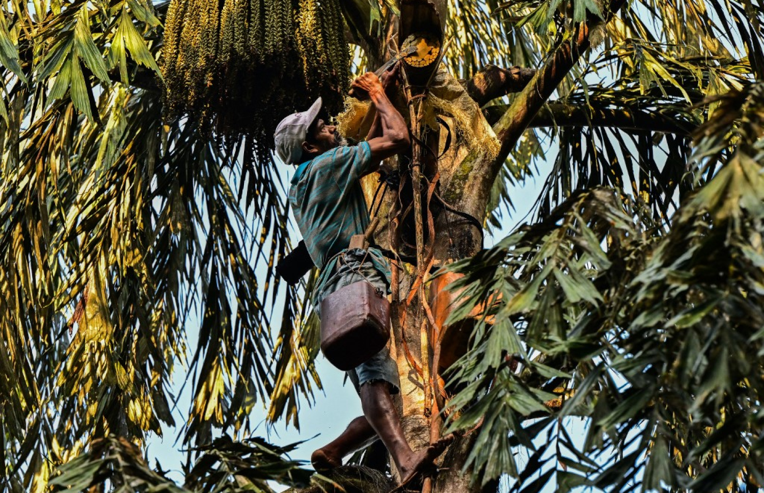 &ldquo;Kithul Kapeema,&rdquo; Sri Lankan Artisans Behind the Sweetness