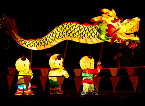 Auckland Lantern Festival 사진