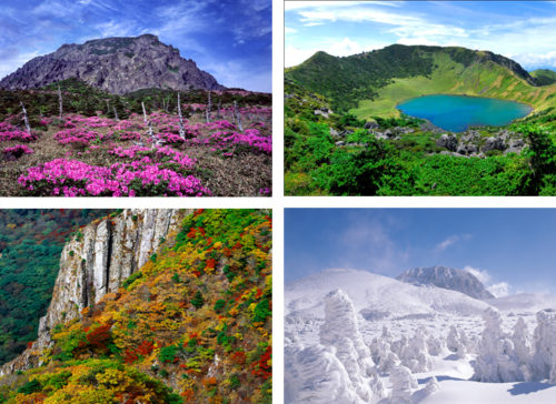 A Look into Jeju: Jeju and World Natural Heritage 사진