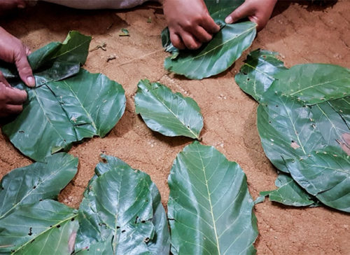 Traditional Practices for a Sustainable Planet 사진
