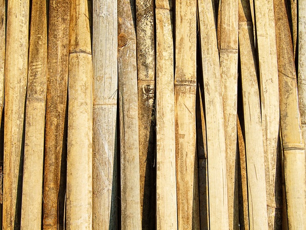 First National Conservation Carpentry Skill Competition 사진