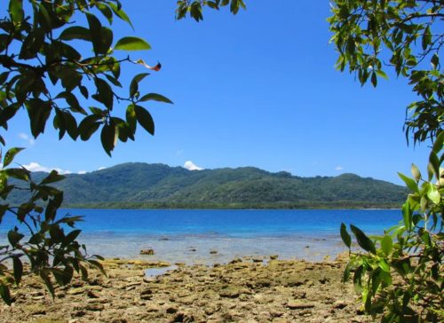 People on Vanuatu’s Malekula Island Speak More than 30 Indigenous Languages. Here’s Why We Must Record Them 사진