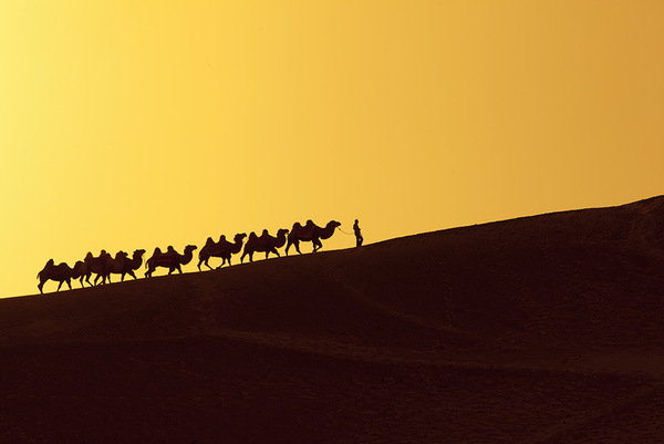 Webinar and Online Strategic Meeting on Silk Roads ICH Network to be Held 18 and 19 November 사진