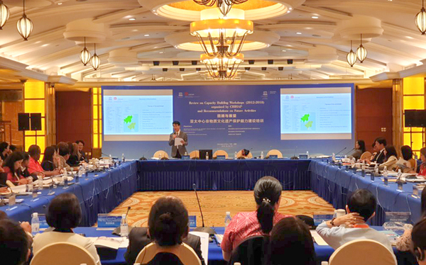 Chengdu Workshop held to review CRIHAP’s Capacity-Building Workshops (2012-18) and Recommend Future Activities 사진