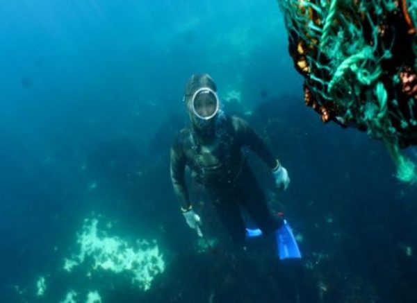 제12차 무형문화유산보호협약 정부간위원회 한눈에 보기 사진